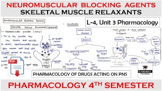 Neuromuscular Blocking Agents and Skeletal Muscle Relaxants  L4 U3  Pharmacology 4th semester [upl. by Aneehsor]