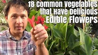 18 Common Vegetables that Have Delicious Edible Flowers [upl. by Krock]