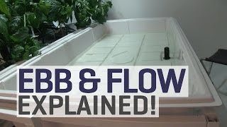 Ebb and Flow Hydroponics Explained [upl. by Zackariah]