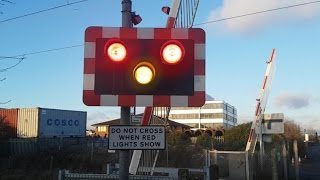 Rare Request Crossing at Manor Way Level Crossing London [upl. by Einalam]