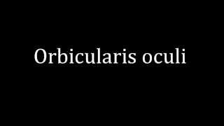 How to pronounce Orbicularis oculi [upl. by Norman]