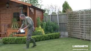 How to Over Seed a Lawn after Raking or Scarifying [upl. by Atinihc567]