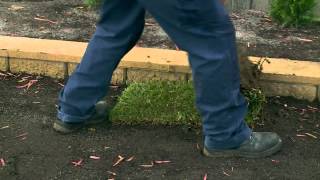 How To Lay Instant Turf  DIY At Bunnings [upl. by Grath]