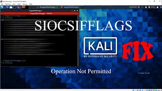 SIOCSIFFLAGS operation not permitted  Kali Linux error fix [upl. by Duyne]