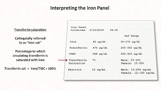 Anemia Lesson 2  Interpreting the Iron Panel [upl. by Courtland110]