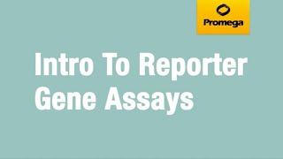 Introduction to Reporter Gene Assays [upl. by Dorcy]