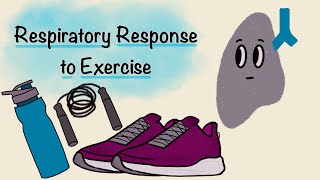 Respiratory Response To Exercise  Respiratory Physiology [upl. by Quentin]