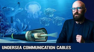 Undersea Communication Cables [upl. by Raffin278]