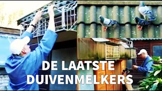 De Laatste Duivenmelkers The Last Pigeon Fanciers  Amsterdams Peil [upl. by Knowle]