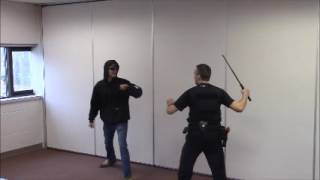 Use of Force Training Video [upl. by Gerg]