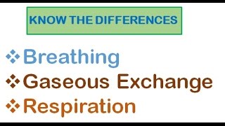 Respiratory System  Breathing Gaseous Exchange and Respiration [upl. by Boris]