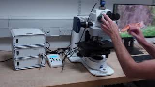 Zeiss Axio Imager 1amp2 Microscope Tutorial [upl. by Ecirtaed314]