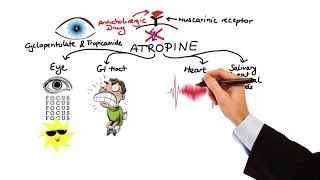 Pharmacology  ANTICHOLINERGIC amp NEUROMUSCULAR BLOCKING AGENTS MADE EASY [upl. by Maurene]