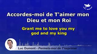 Luc Dumont  Permetsmoi de Texprimer Lyrics [upl. by Drallim953]