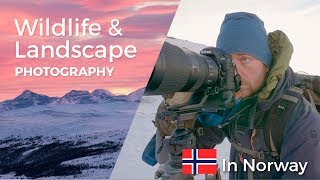 WILDLIFE and LANDSCAPE PHOTOGRAPHY in NORWAY  Behind the scenes [upl. by Rigdon873]