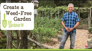 How to Create a WeedFree Garden [upl. by Lucilia]