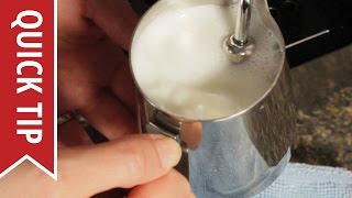 How to AutoFroth Milk for Lattes [upl. by Orteip516]