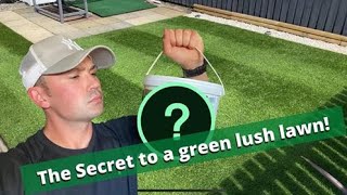 The Secret To a Lush Green Lawn  Iron Sulphate [upl. by Roderica]