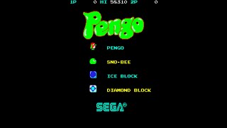 Pengo Attempt 1 [upl. by Kristofor]