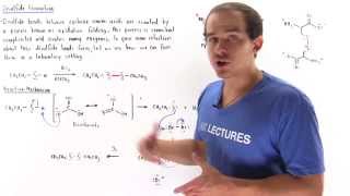 Disulfide Bond Formation [upl. by Idden903]