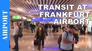 TRANSIT WALK AT FRANKFURT Airport FRA Terminal 1  Connection Flight Transfer Arriving amp Departing [upl. by Ettezus59]