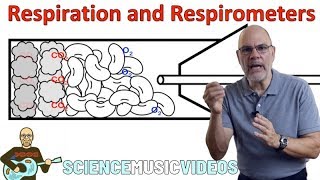 Respiration and Respirometers [upl. by Luckett]