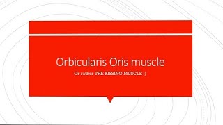 Orbicularis Oris  Simple and Easy [upl. by Aitnwahs562]